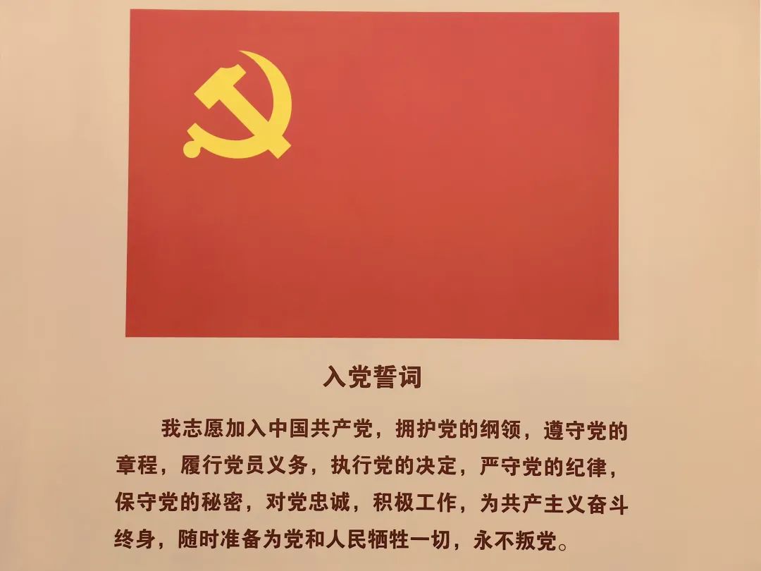 8.jpg 8.jpg